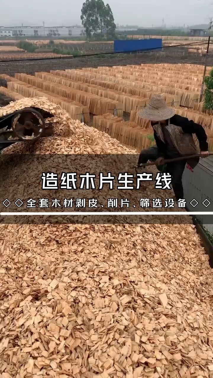 岳阳林纸收购木片图片