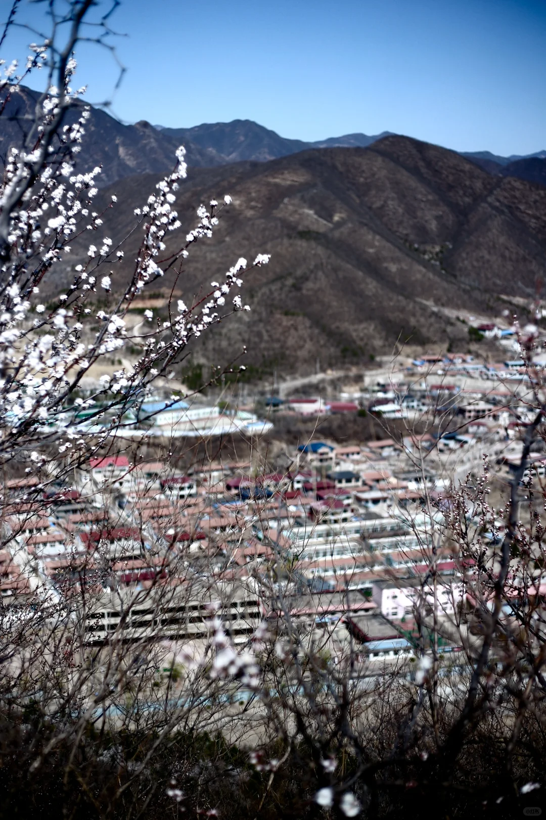 徒步昌平棋盘山:春日独享的宁静时光