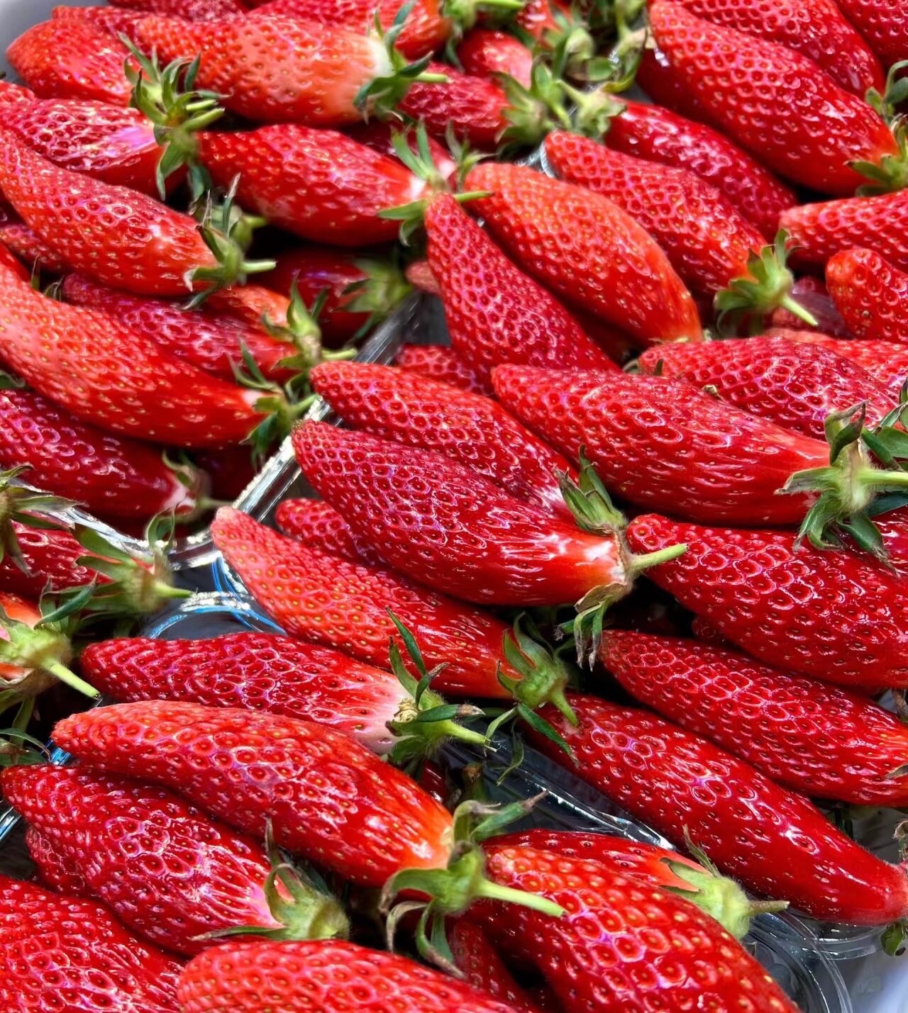 这是什么莓?吃过白莓,牛奶莓,红圆莓,不知道这是属于啥品种