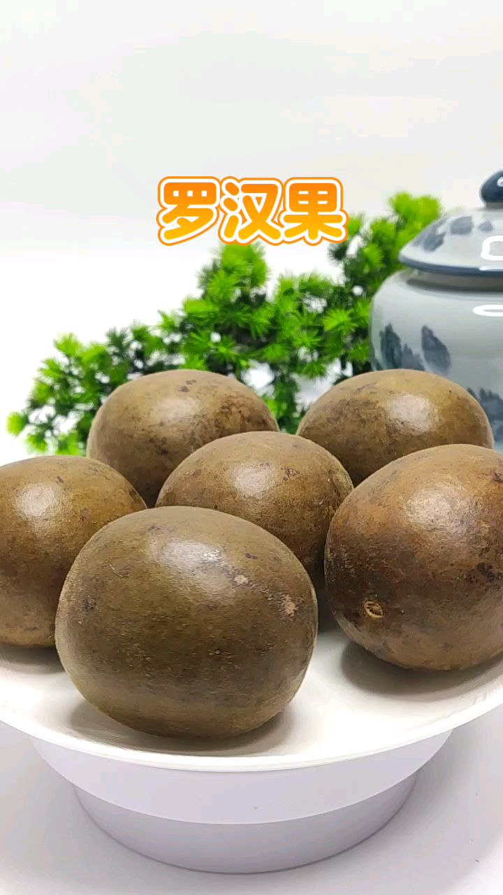 百草每日分享之——罗汉果