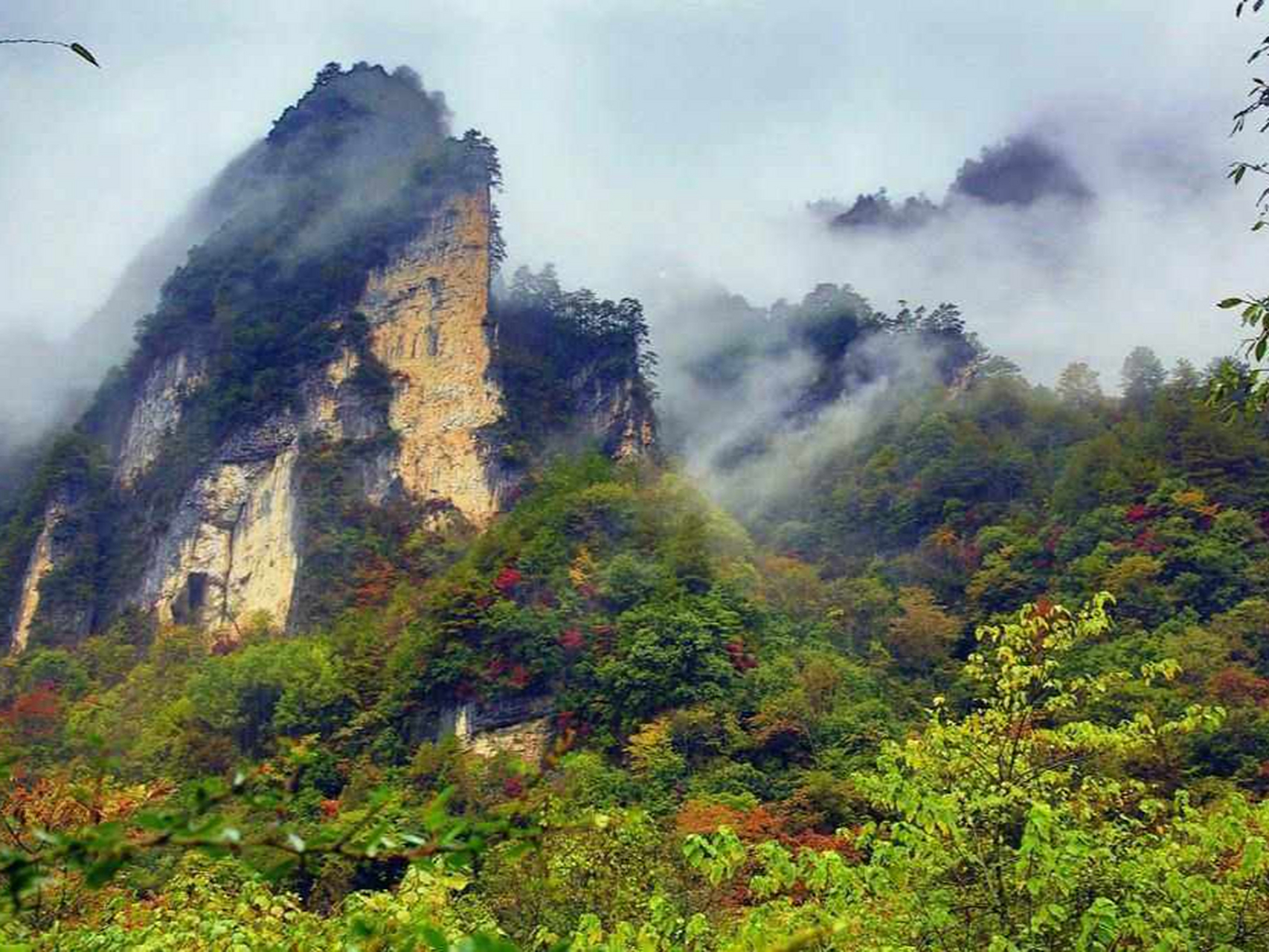 趣游清明#巴中光雾山,位于四川省巴中市南江县光雾山镇,这里因常年