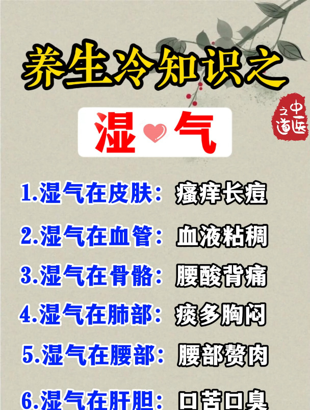 养生小知识之湿气