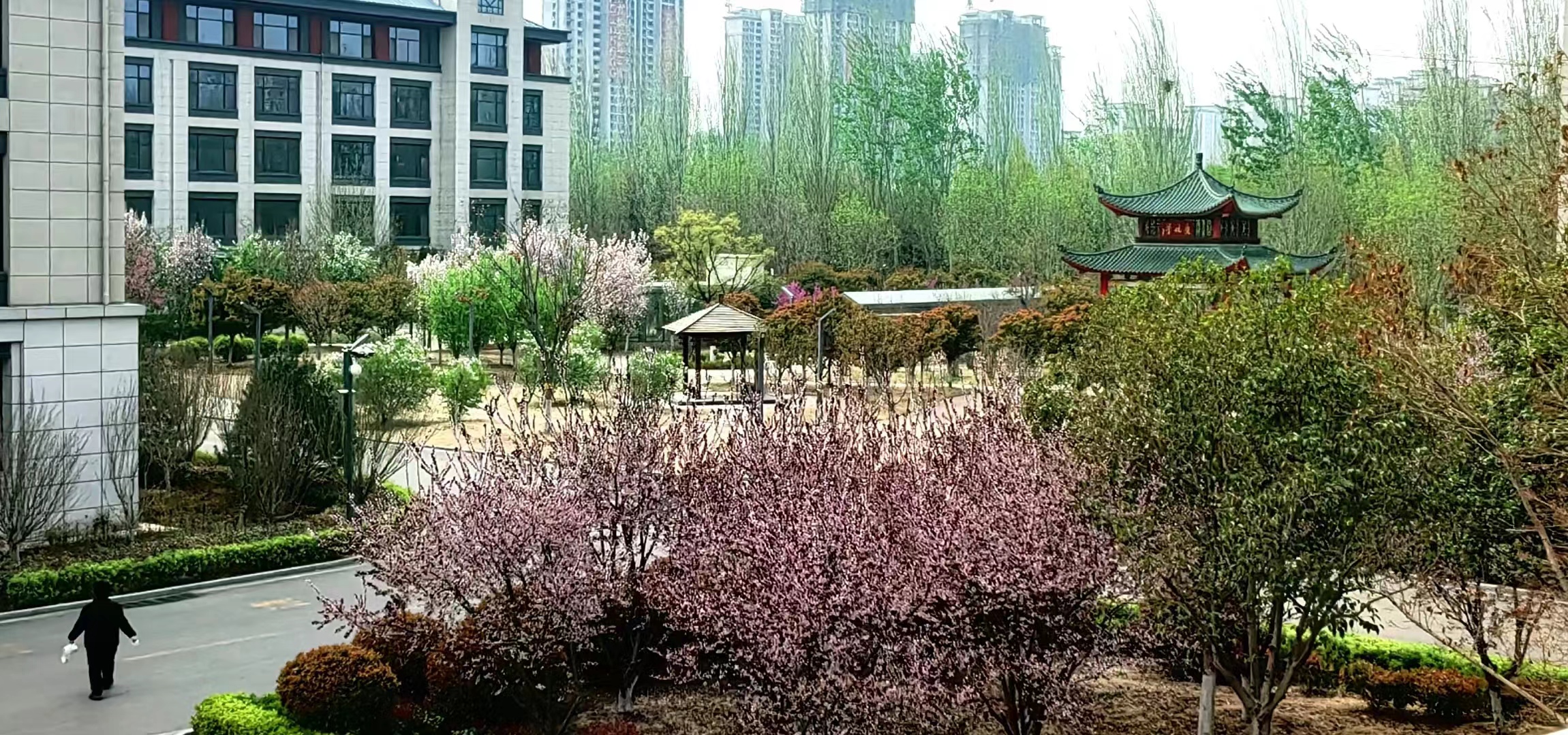 2024年高考倒计时67天烂漫不过世间花慢煮光阴一盏茶