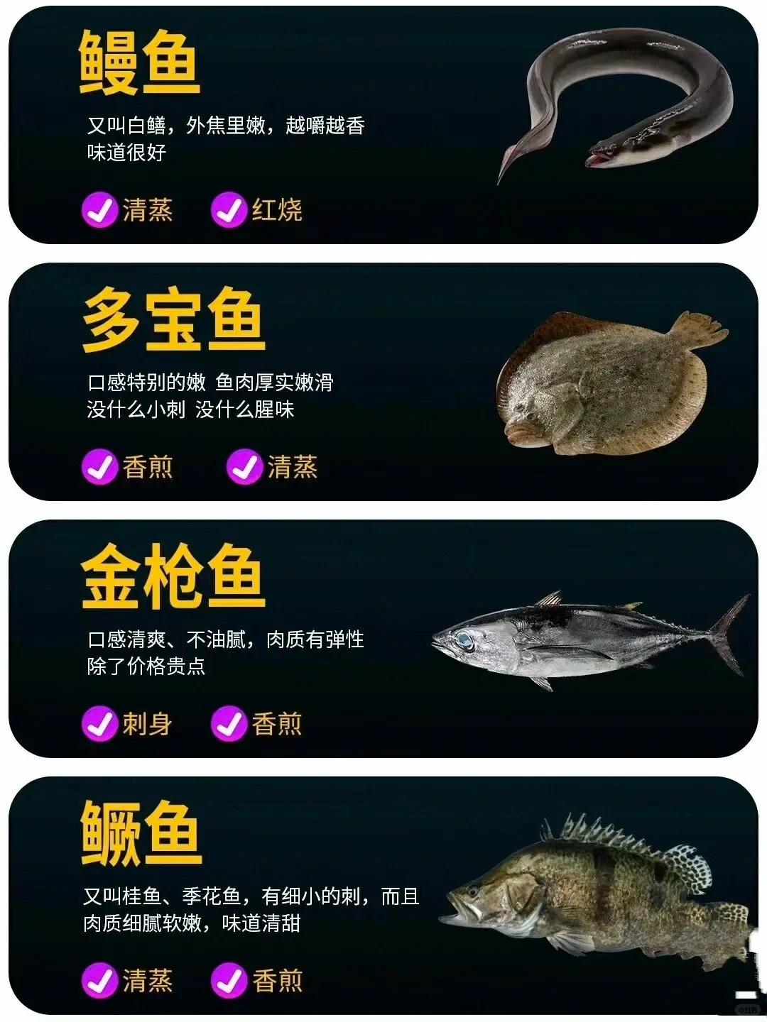 菜市场常见20种鱼做法好吃