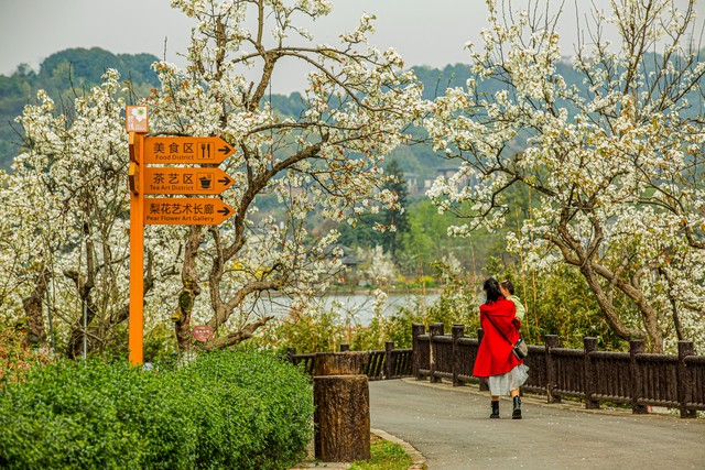 山川秀美,人文荟萃,新津旅游必去的五个景点