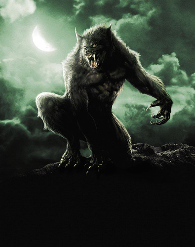 莱恩希望《狼人》扩大受众群体,阿波特有可能加入《黑暗骑士》