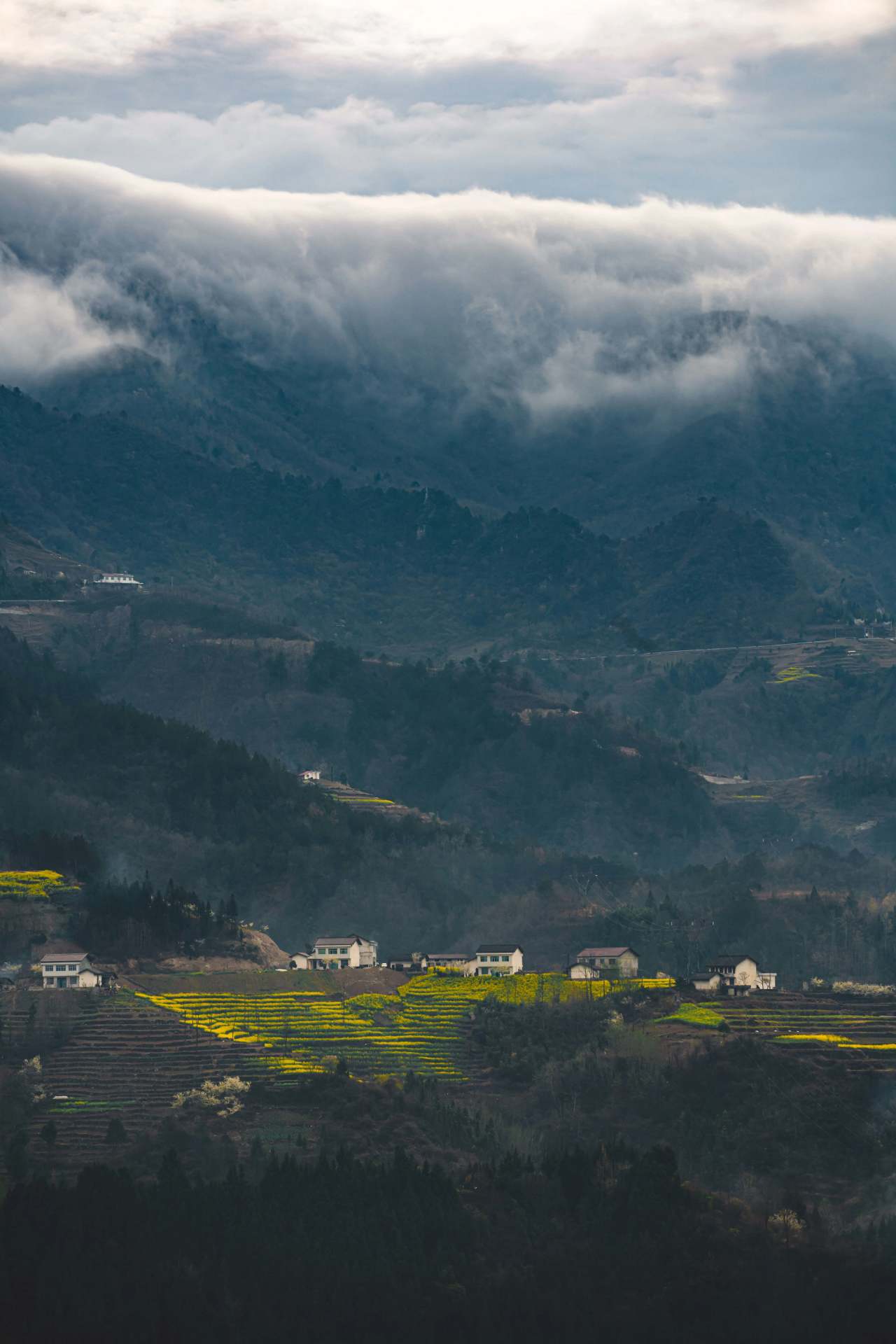陕西巴山深处的秘境生活着巴人和苗人后裔花开成海太美了