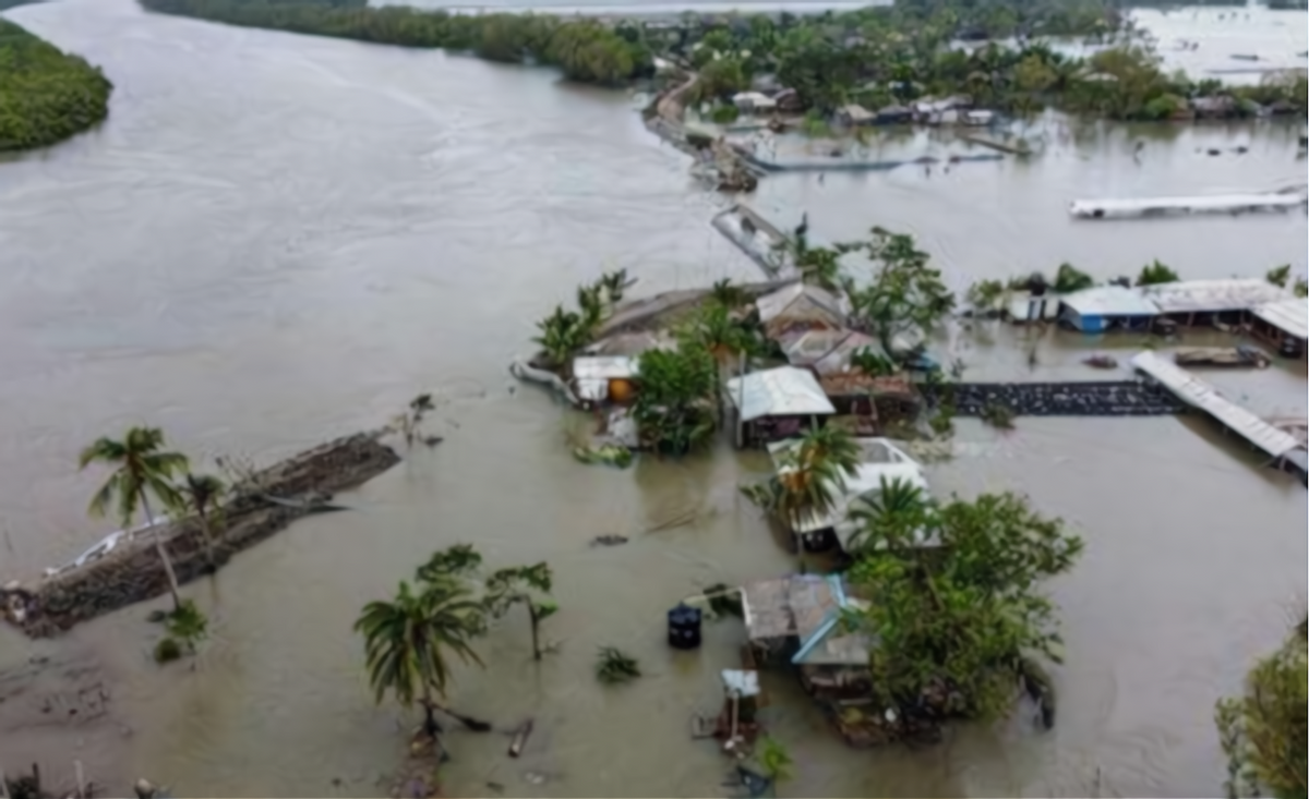回顾特大洪水中6岁女孩紧抱大树9小时如今她的工作令人自豪