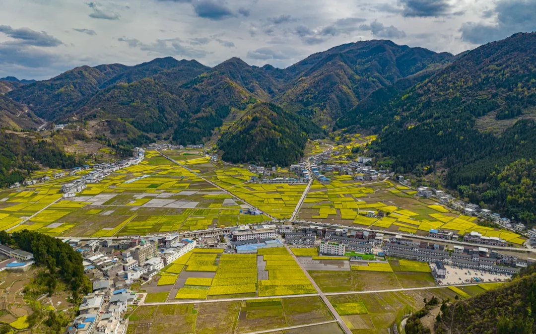 陕西巴山深处的秘境生活着巴人和苗人后裔花开成海太美了