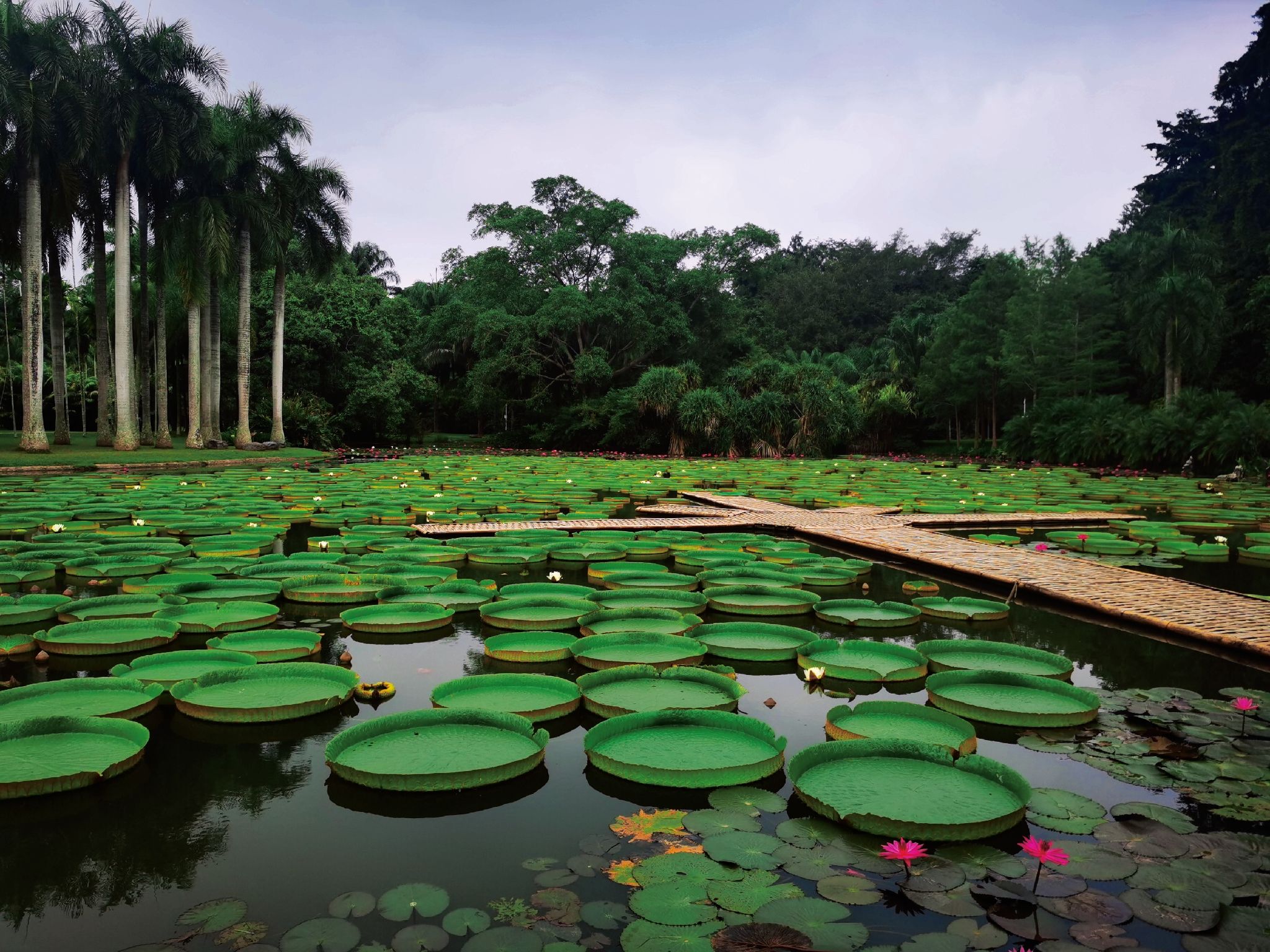 云南自由行旅游超全攻略纯干货,必游胜地推荐,(附行程安排)