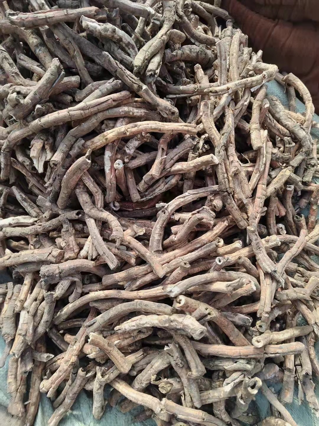 十大热点品种白芍白术等品种热度急速飙升为后市埋下隐患