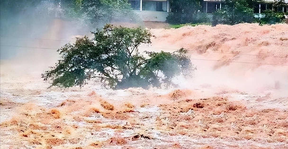 回顾特大洪水中6岁女孩紧抱大树9小时如今她的工作令人自豪