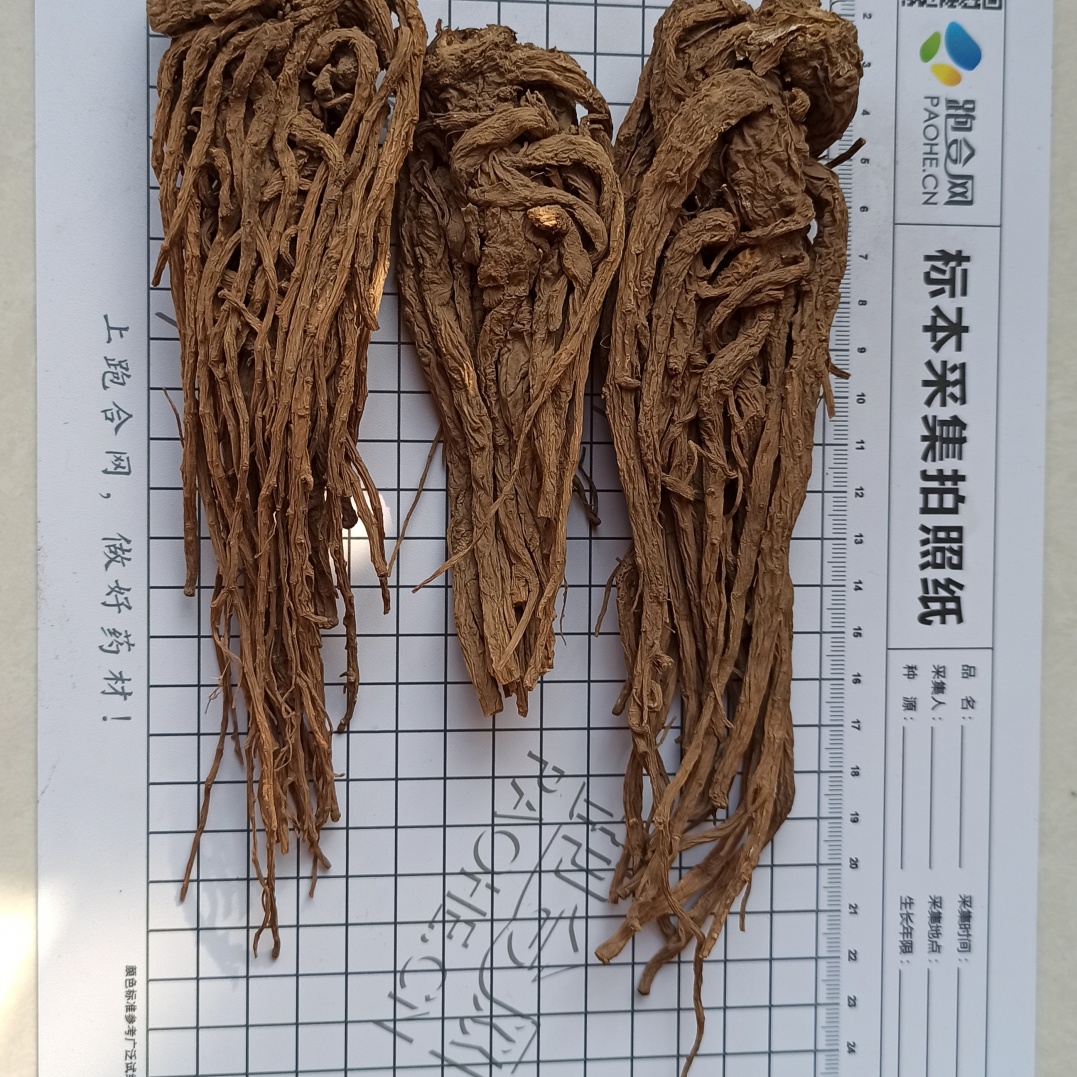 十大热点品种白芍白术等品种热度急速飙升为后市埋下隐患