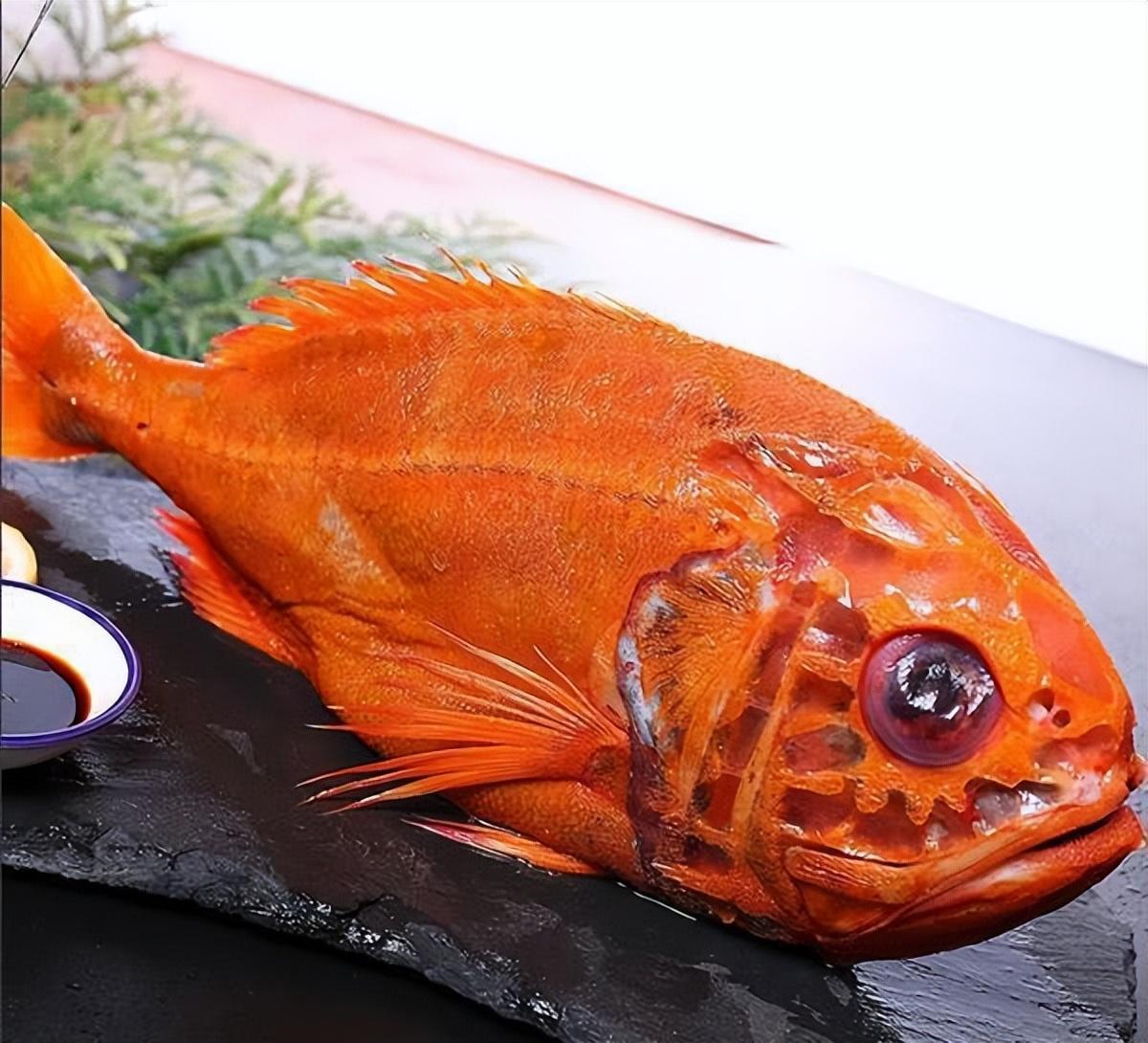 公认最好吃的6种野生海鱼,目前无法人工养殖,你吃过几种呢?