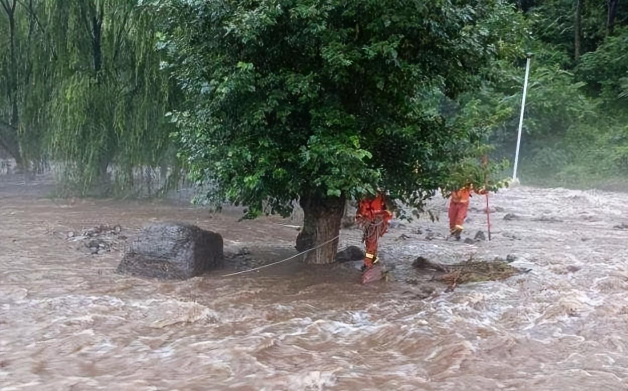 回顾特大洪水中6岁女孩紧抱大树9小时如今她的工作令人自豪