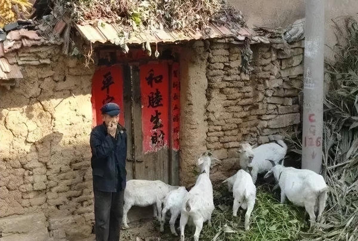 就一直在家里等着那一天的到来,那个时候我还小,什么都不懂,只是听