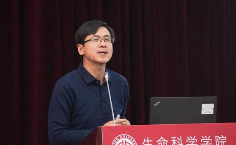 周浩在北大遇到困境