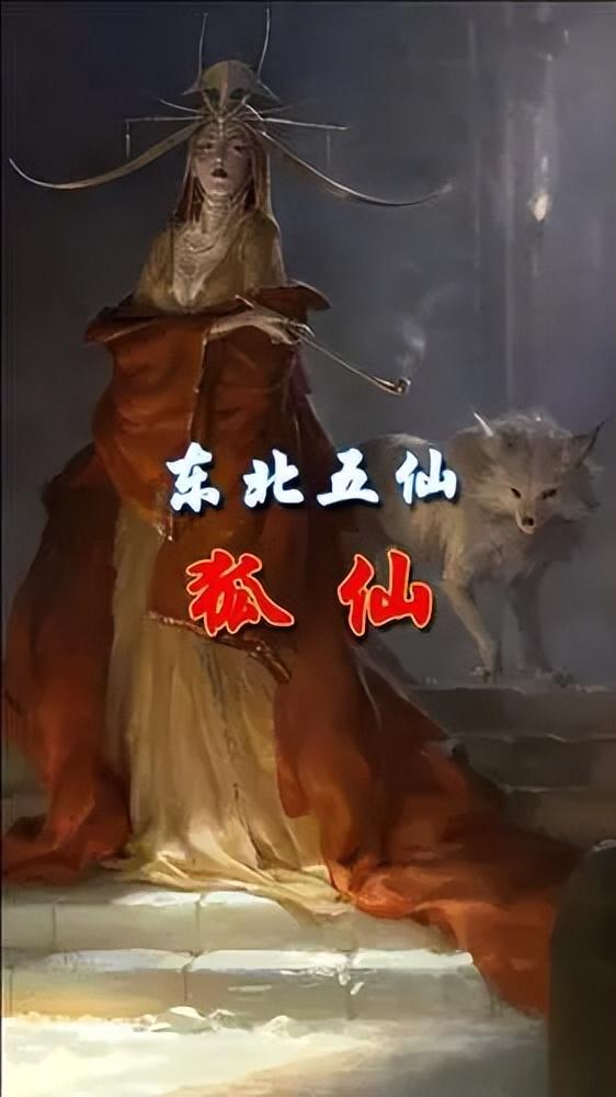 回顾:黑龙江男子投喂白狐,数月后白狐衔灵芝"报恩",白狐真有灵性?