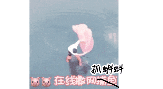 女生慎进取精室里的秘密