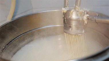 在这个城市暴吃3天钱包只受了皮外伤