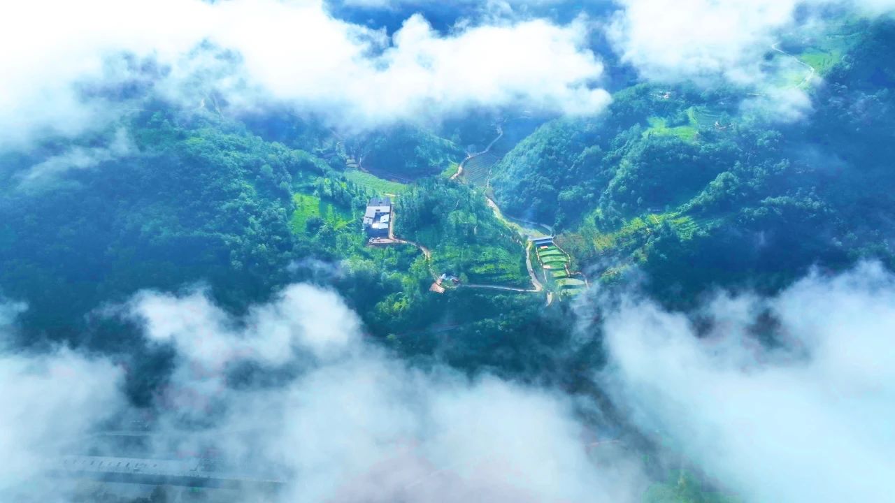 陕西巴山深处的秘境生活着巴人和苗人后裔花开成海太美了