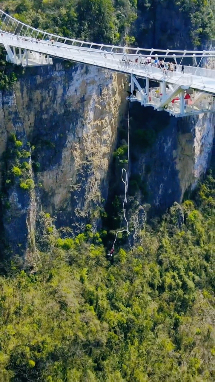 旅行#清明来张家界踏青旅行吧!还可以一睹这里的蹦极达人的风采