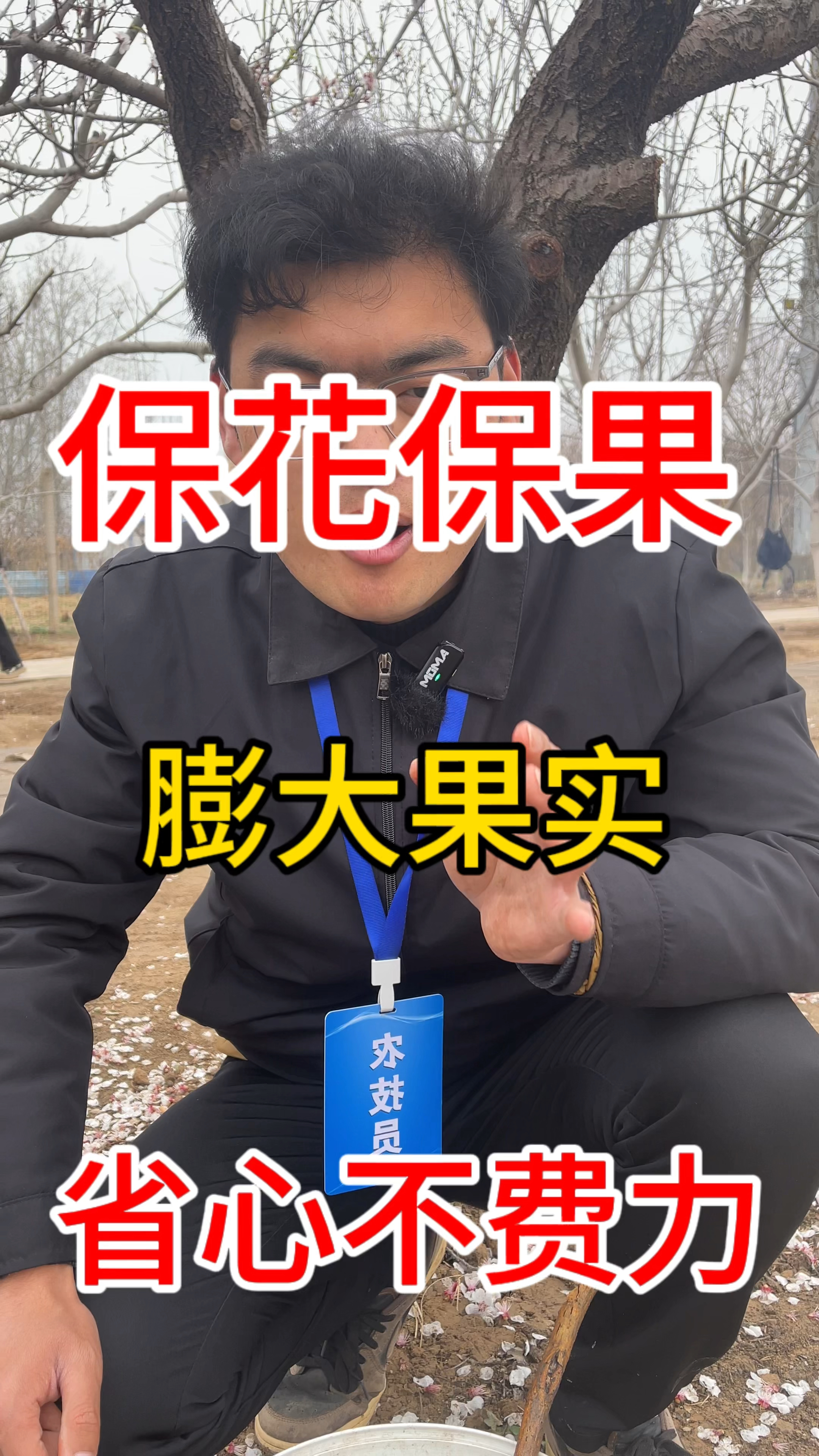 保花保果,省心不费力