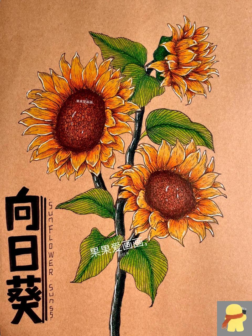 在绘画向日葵时,有一些重难点需要注意: 1.