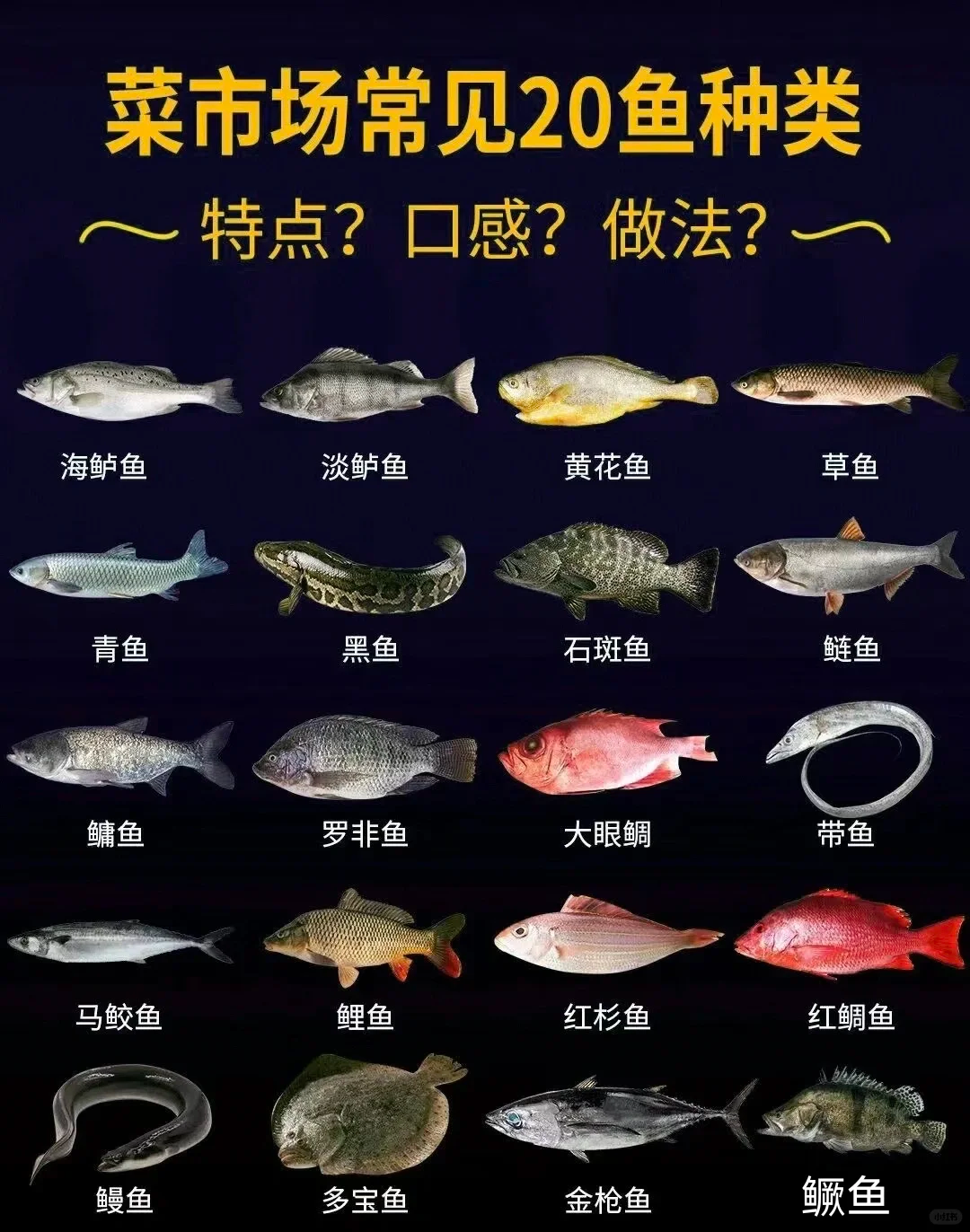 菜市场常见20种鱼做法好吃