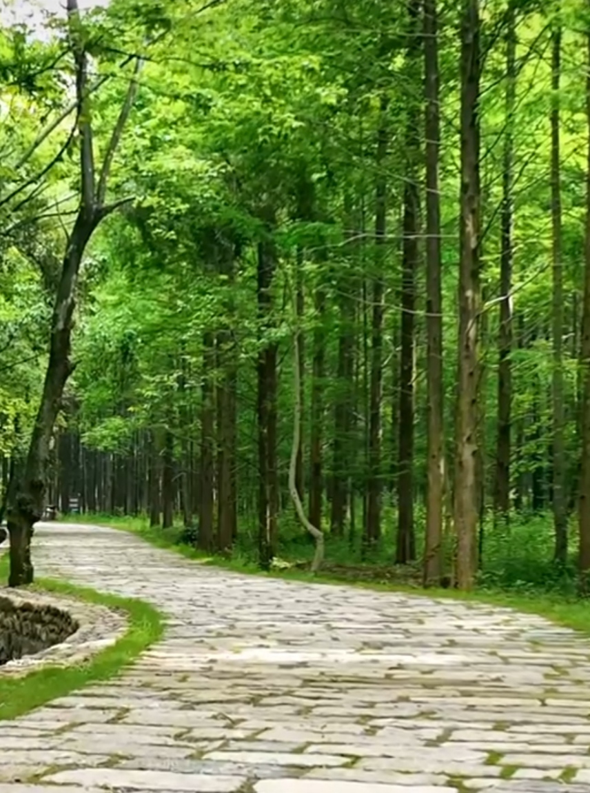 小格里自然风景区门票图片