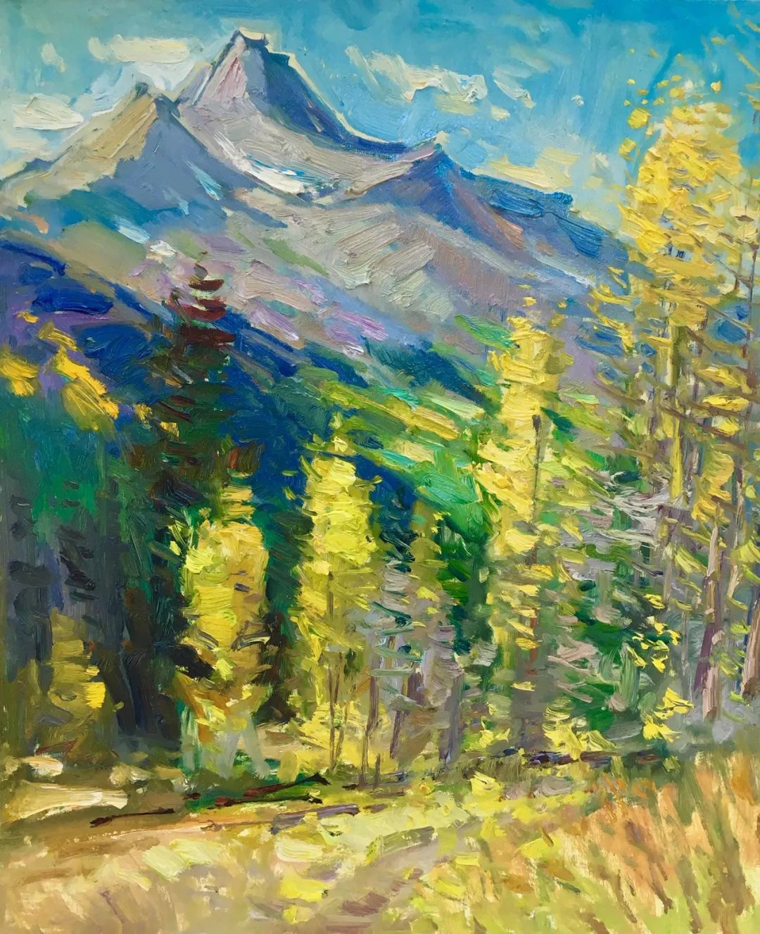 唐·萨利的笔触粗犷,色彩丰富的大笔触风景油画