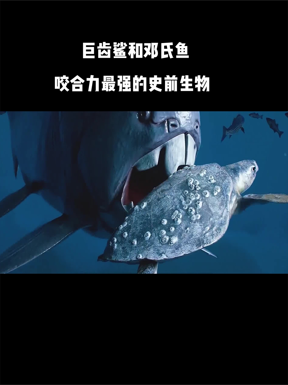 巨齿鲨和邓氏鱼:谁是咬合力最强的史前生物?