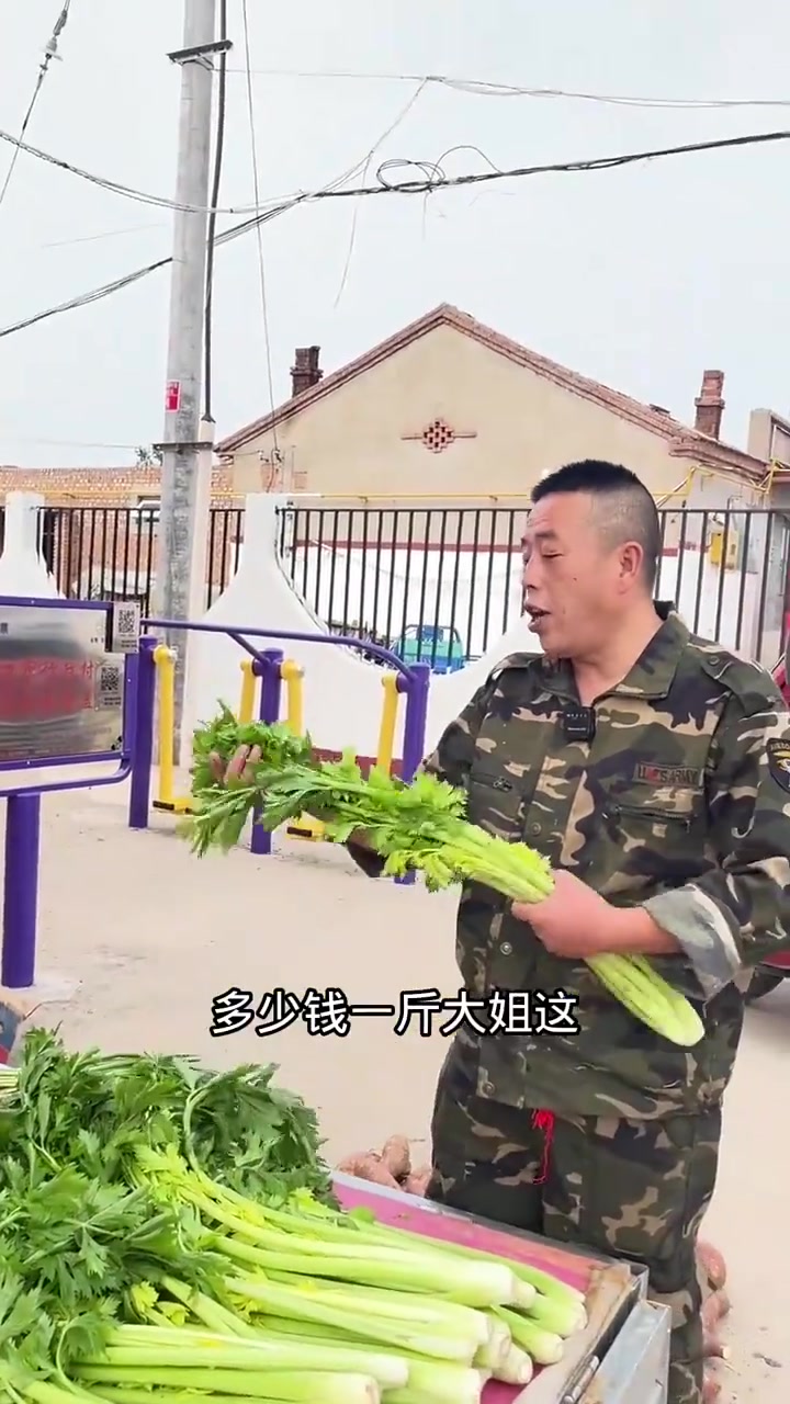 鸡蛋韭菜馅饼,记录我的农村生活