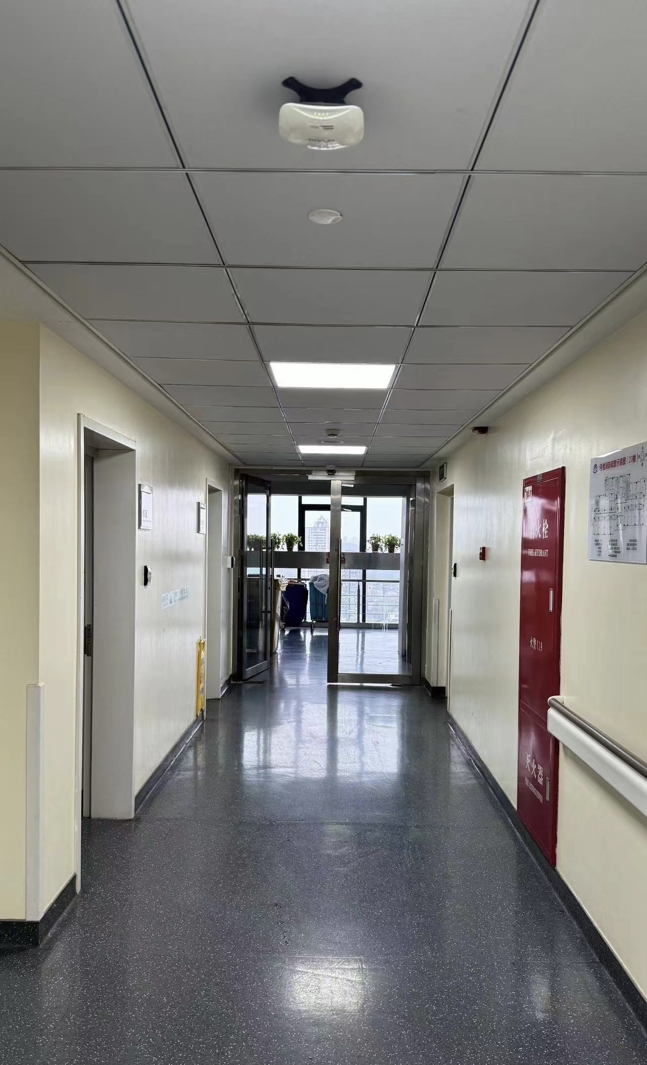 人生中第一次真实地感受到这么清醒且明显的地震