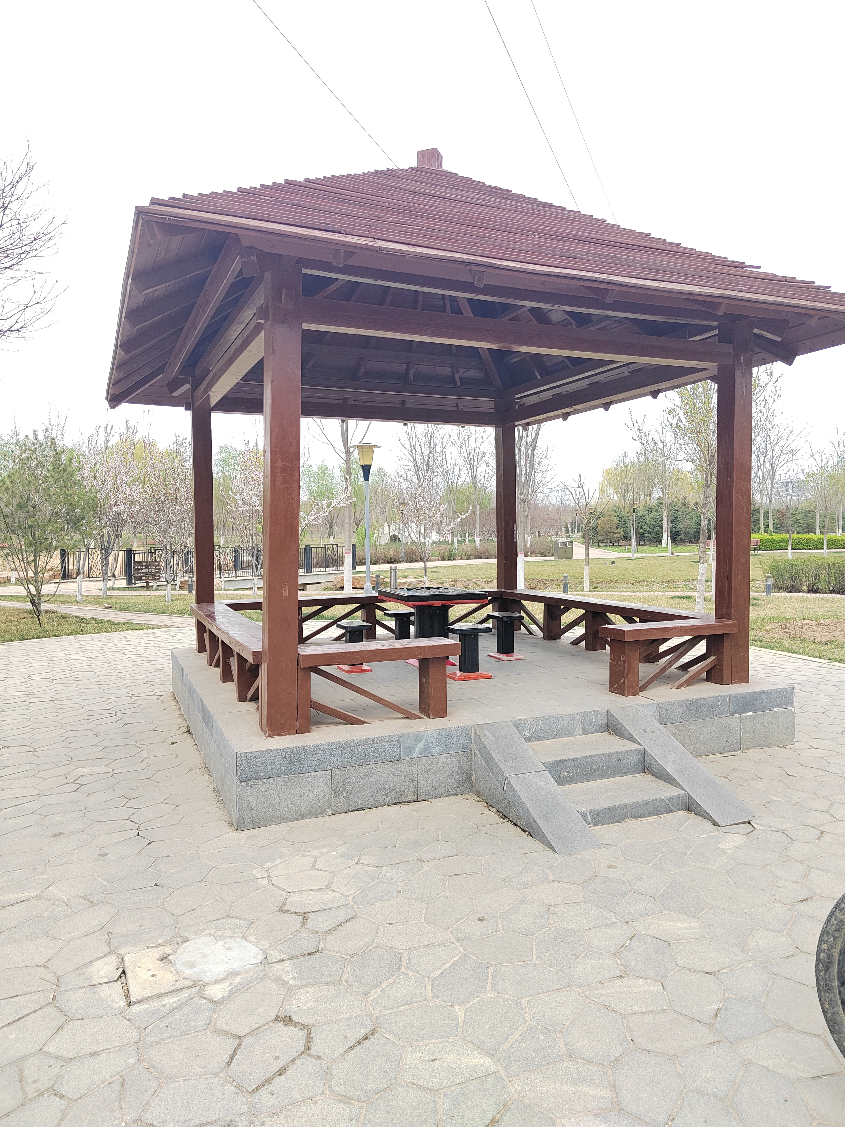 植物园的西侧有一个小亭子,亭子里有中国象棋