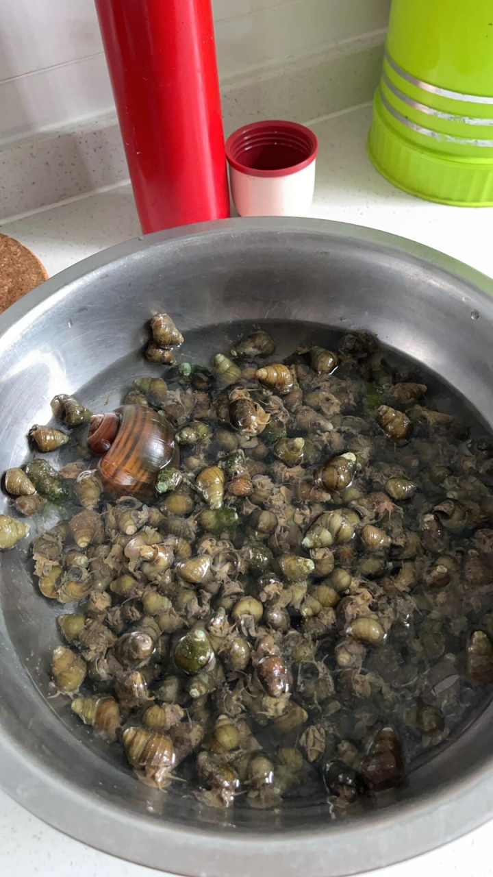 小河里的螺丝,让人忘记不了的美味