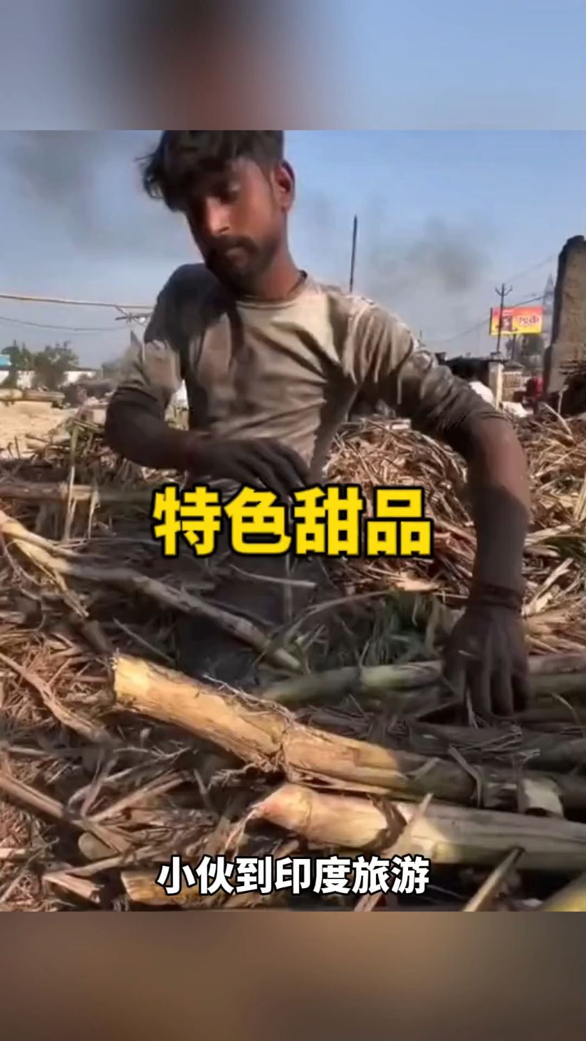 印度当地制作甘蔗糖全过程