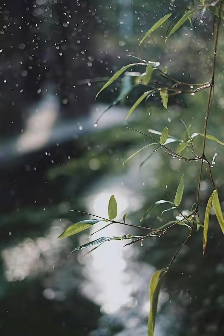 在平淡琐碎的日子里