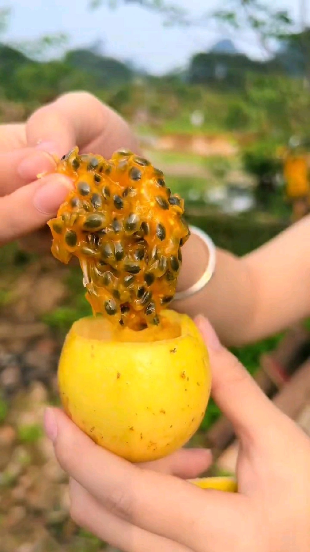 甜的百香果天天吃,太有口福了
