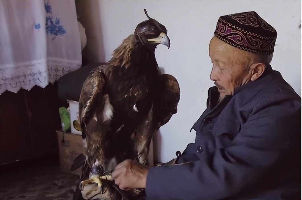 回顾熬鹰术有多残忍一人一鹰7天不合眼只为将金雕驯化