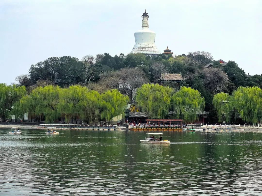 清明将至丨北海公园踏青,邂逅诗意春天