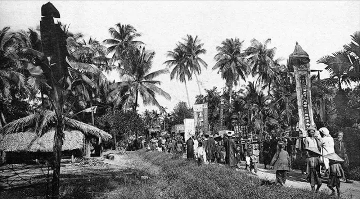 回顾躲过了国人的筷子却没避开越南人的盘子越南人为何爱吃猫