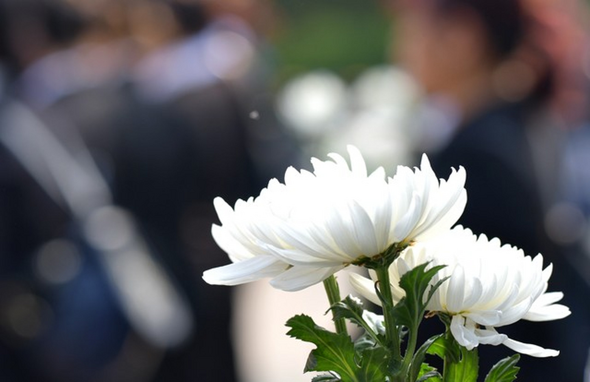 清明时节,家人团聚祭扫先人,缅怀逝去的亲人,愿天堂无病痛.