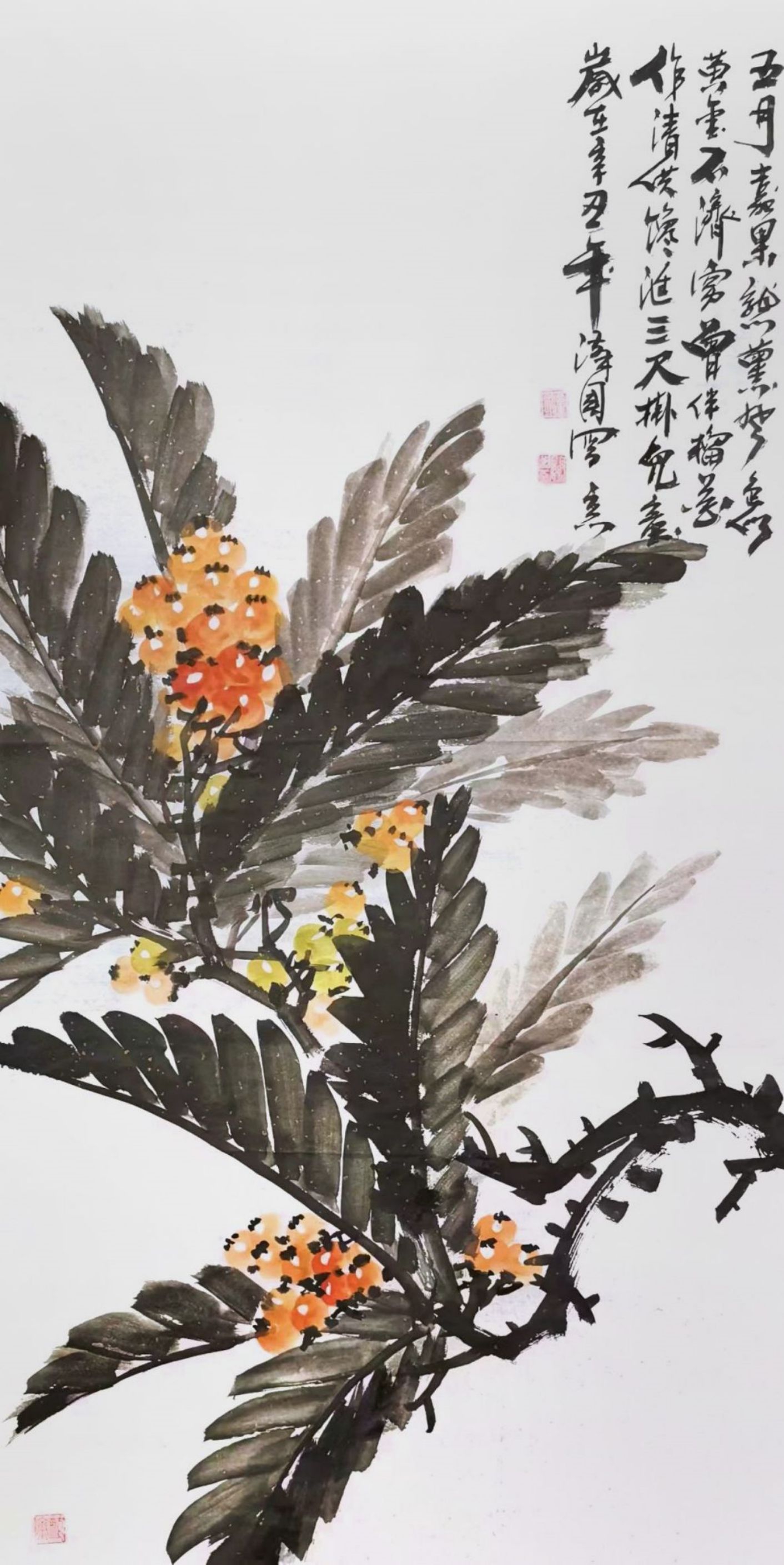 刘汉国老师作品《枇杷似黄金》收藏于故宫博物院