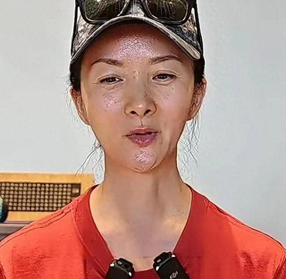 50岁演员谢兰定居美国,回国容貌变化太大,脸部油腻还不规则!