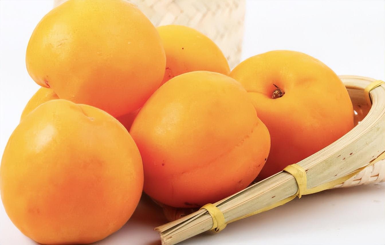 回顾杏子曾是北方主流水果栽种历史超2000年今为何很少人种了