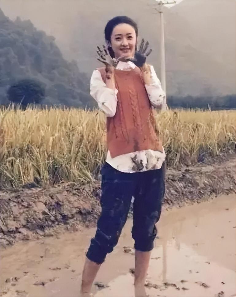 明星回老家的真实状态曝光谁接地气谁在耍大牌一目了然