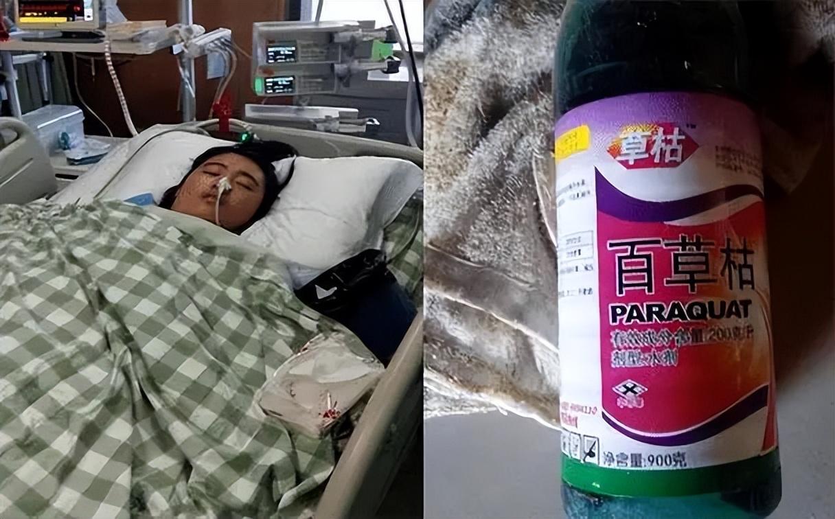 回顾百草枯之父李德军我知道它没有解药但没想到会有人主动喝