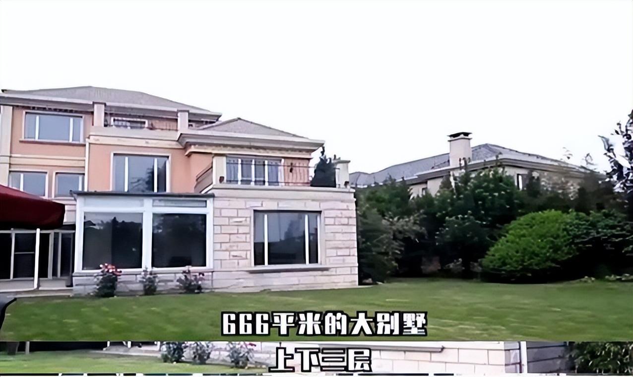 热爱买别墅,喜欢用钻石敷脸,李湘向大家诠释了什么叫做真正的富婆.