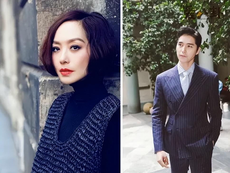 陈鲁豫有过两段失败婚姻曾是凤凰卫视一姐风光背后是泪水